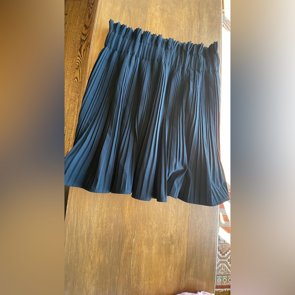 Zara Navy Pleated Mini Skirt